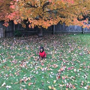 Meet your Posher, Sophia